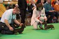 Crufts2010 761